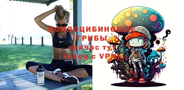 apvp Беломорск