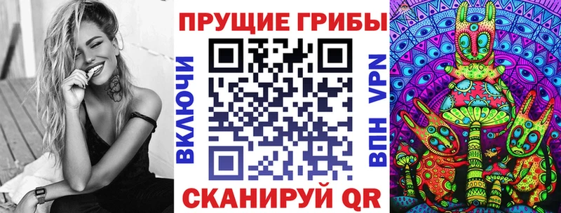 цены наркотик  Полесск  Псилоцибиновые грибы GOLDEN TEACHER 